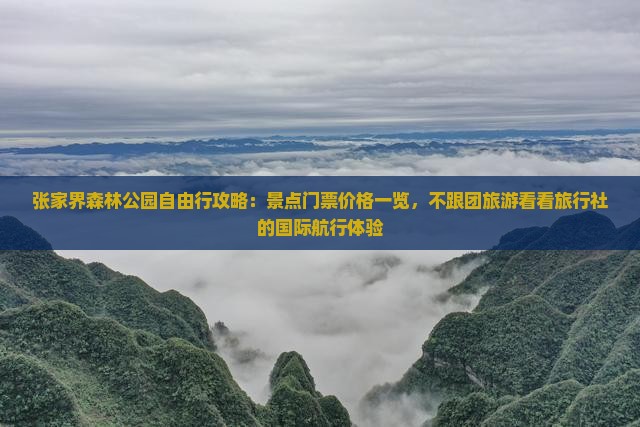 张家界森林公园自由行攻略：景点门票价格一览，不跟团旅游看看旅行社的国际航行体验