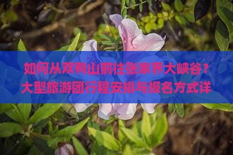 如何从双鸭山前往张家界大峡谷？大型旅游团行程安排与报名方式详解