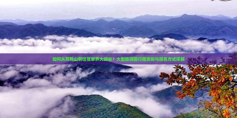 如何从双鸭山前往张家界大峡谷？大型旅游团行程安排与报名方式详解