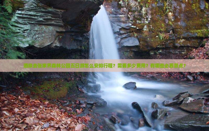 酒泉去张家界森林公园五日游怎么安排行程？需要多少费用？有哪些必看景点？