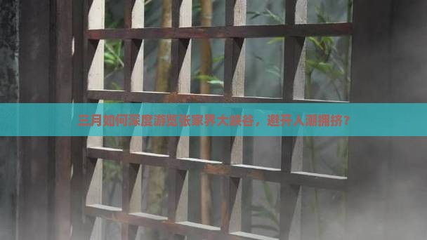 三月如何深度游览张家界大峡谷，避开人潮拥挤？