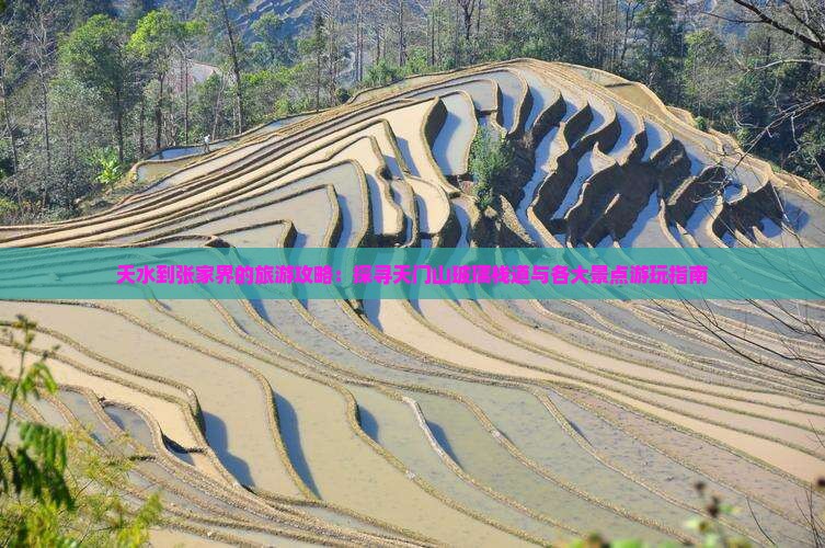 天水到张家界的旅游攻略:探寻天门山玻璃栈道与各大景点游玩指南 天水到张家界的旅游攻略:探寻天门山玻璃栈道与各大景点游玩指南