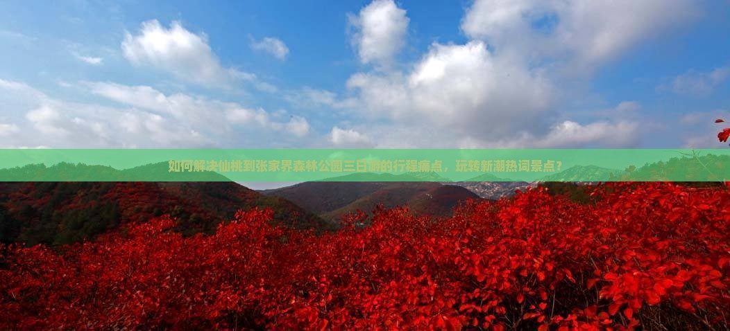 如何解决仙桃到张家界森林公园三日游的行程痛点，玩转新潮热词景点？