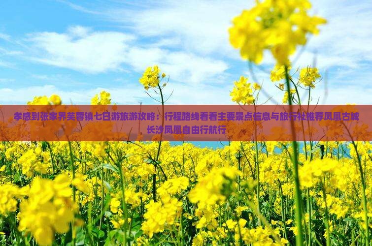 孝感到张家界芙蓉镇七日游旅游攻略：行程路线看看主要景点信息与旅行社推荐凤凰古城长沙凤凰自由行航行