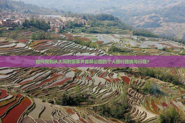 如何规划从大同到张家界森林公园的个人旅行路线与行程？