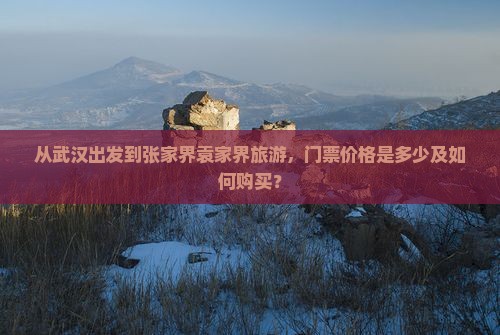从武汉出发到张家界袁家界旅游，门票价格是多少及如何购买？