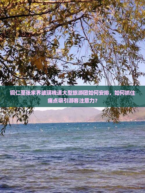 铜仁至张家界玻璃栈道大型旅游团如何安排，如何抓住痛点吸引游客注意力？