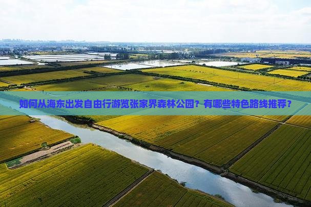 如何从海东出发自由行游览张家界森林公园？有哪些特色路线推荐？