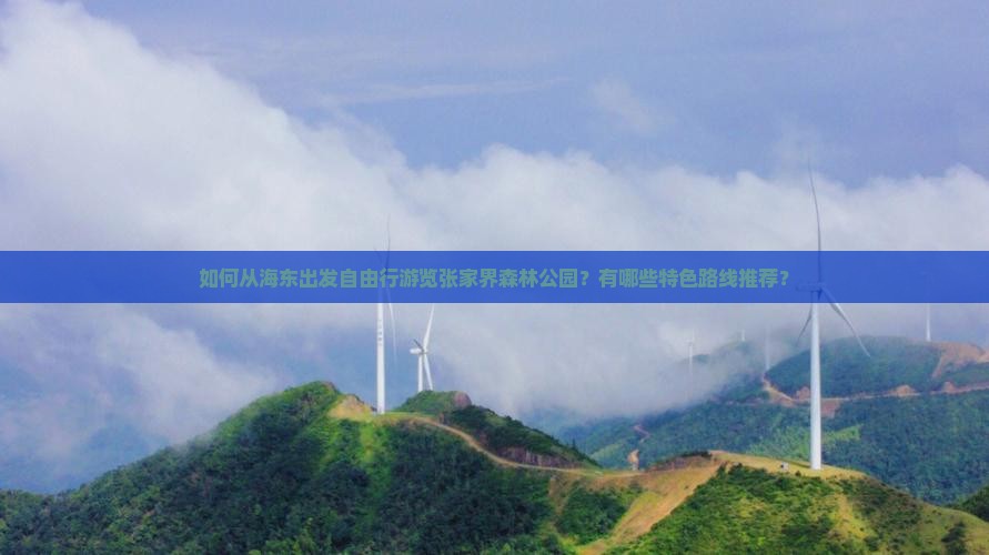 如何从海东出发自由行游览张家界森林公园？有哪些特色路线推荐？