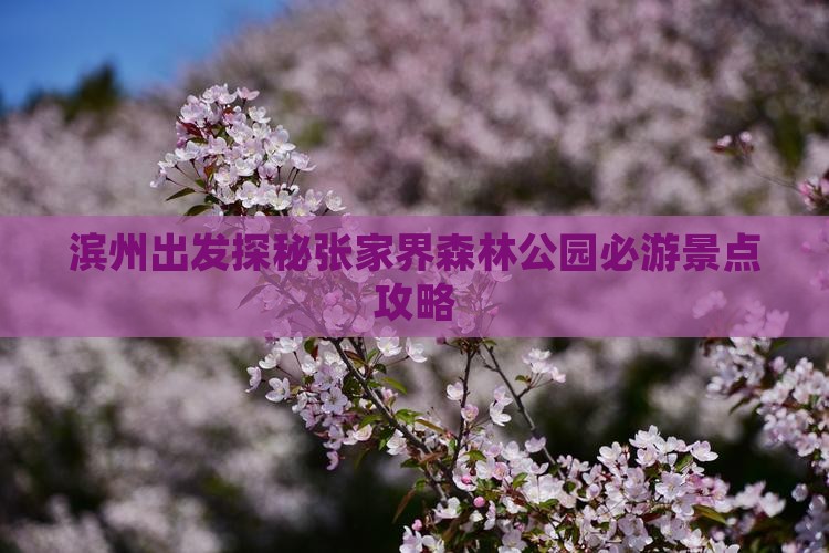 滨州出发探秘张家界森林公园必游景点攻略