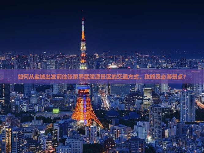 如何从盐城出发前往张家界武陵源景区的交通方式、攻略及必游景点？