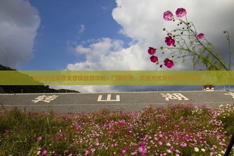 亳州至张家界芙蓉镇旅游攻略：门票价格、交通方式及预订流程详解