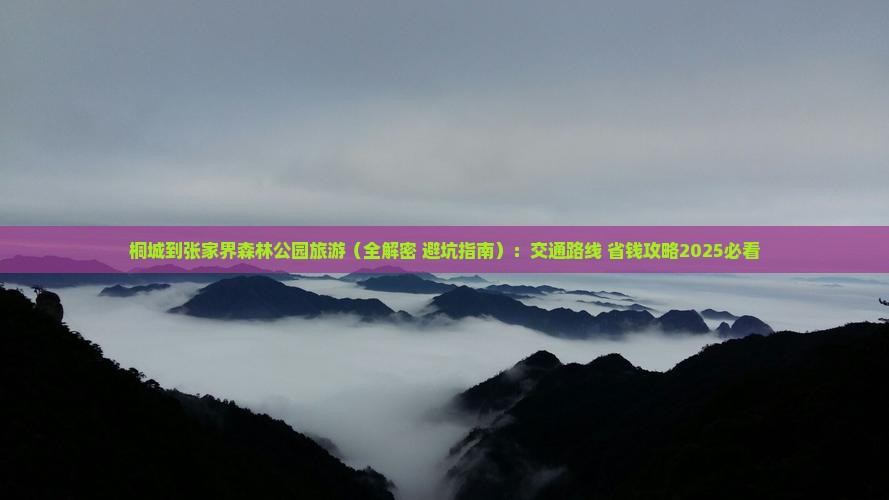 桐城到张家界森林公园旅游