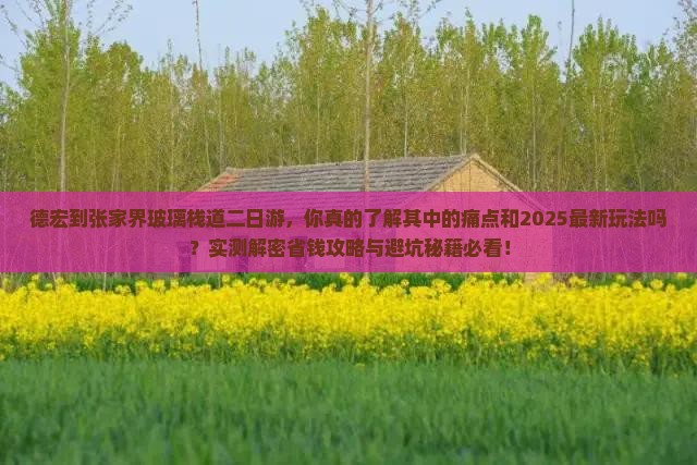 德宏到张家界玻璃栈道二日游