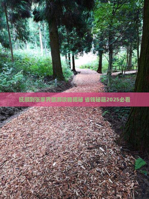 抚顺到张家界森林公园门票 抚顺到张家界森林公园门票