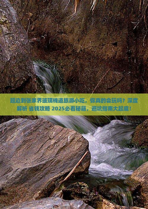 延边到张家界玻璃栈道旅游小吃