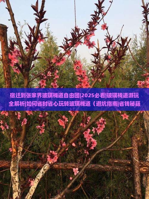 宿迁到张家界玻璃栈道自由团