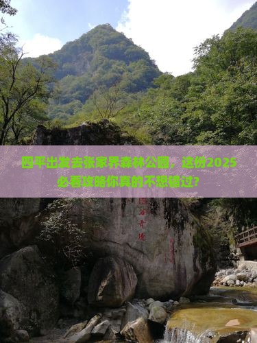 四平去张家界森林公园攻略