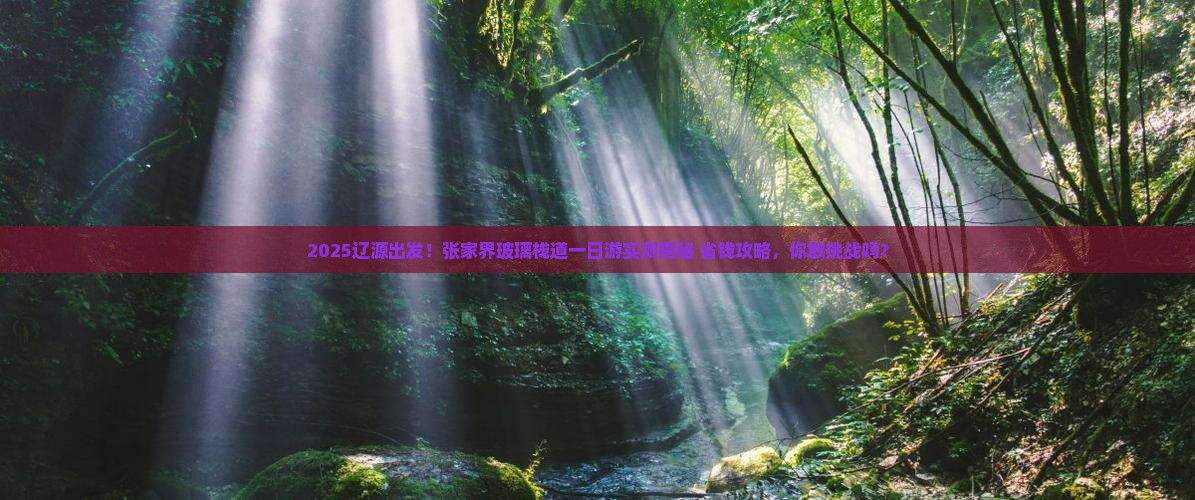 辽源到张家界玻璃栈道一日