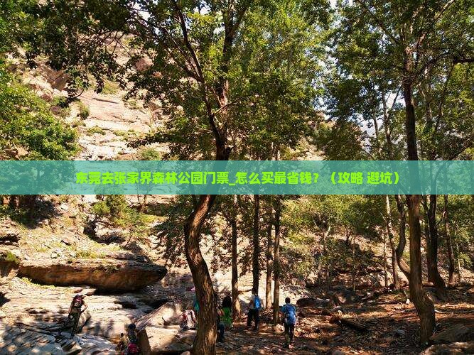 东莞去张家界森林公园门票