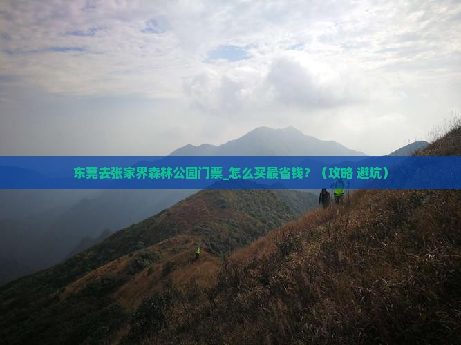 东莞去张家界森林公园门票