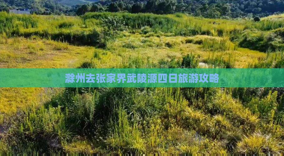滁州去张家界武陵源四日游