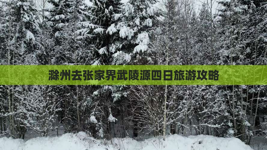 滁州去张家界武陵源四日游