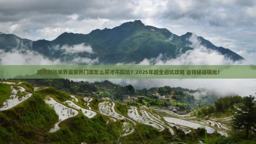临猗到张家界袁家界门票
