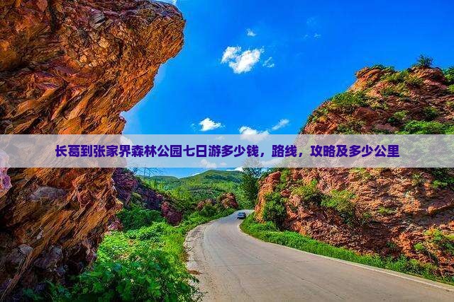 长葛到张家界森林公园七日游