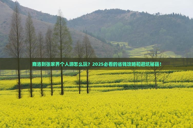 商洛到张家界个人游