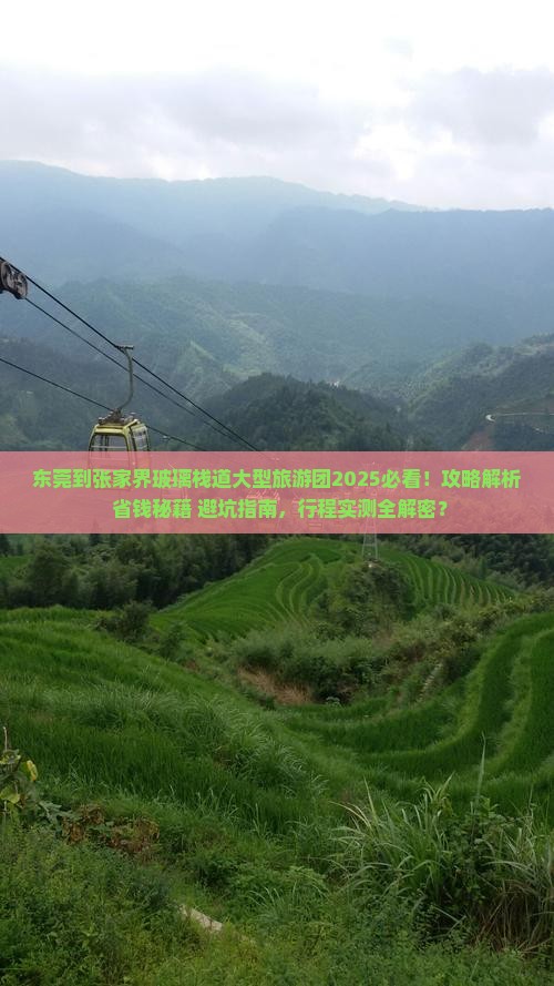 东莞到张家界玻璃栈道大型旅游团