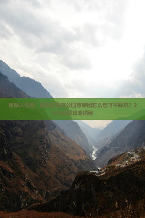 娄底去张家界森林公园大型旅游团