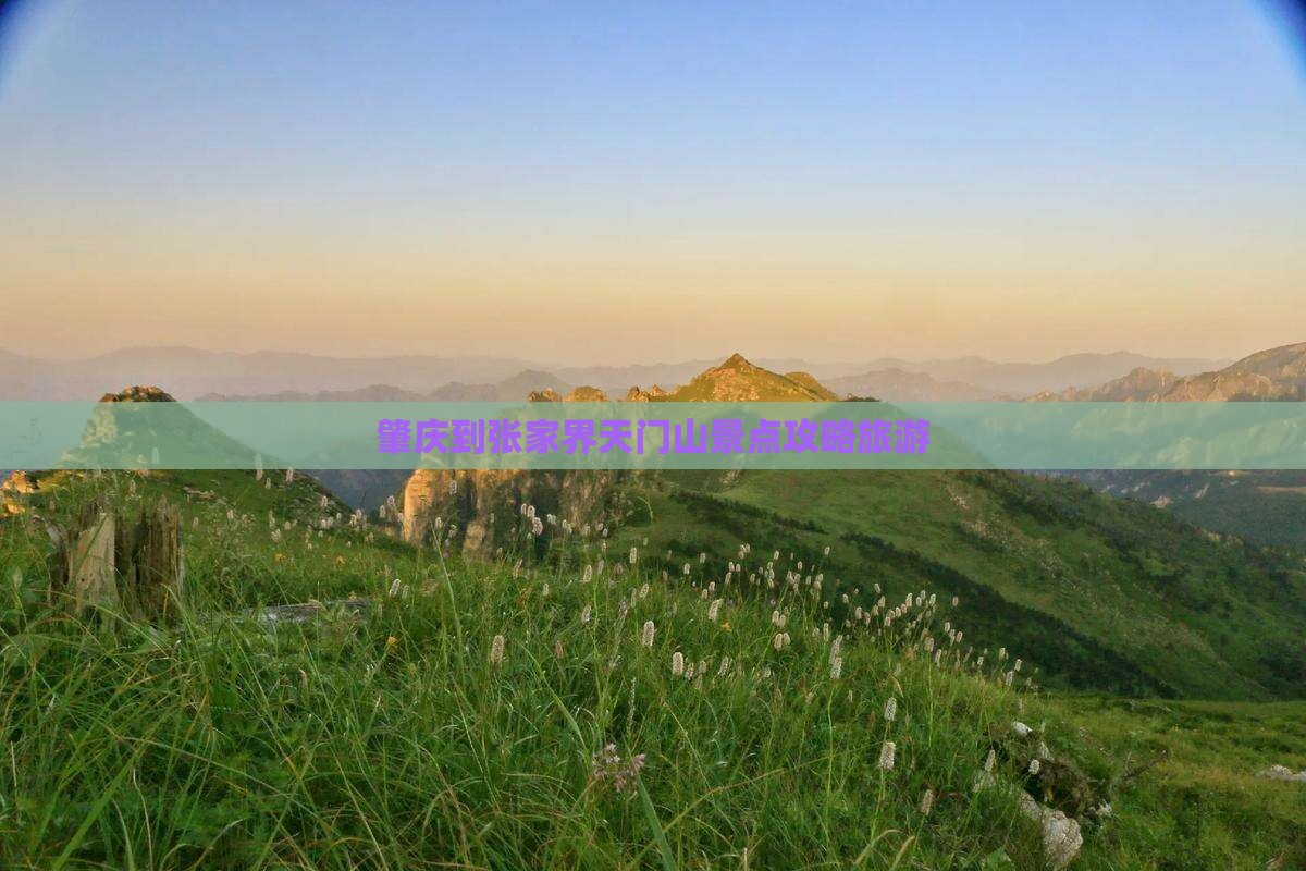 肇庆到张家界天门山景点