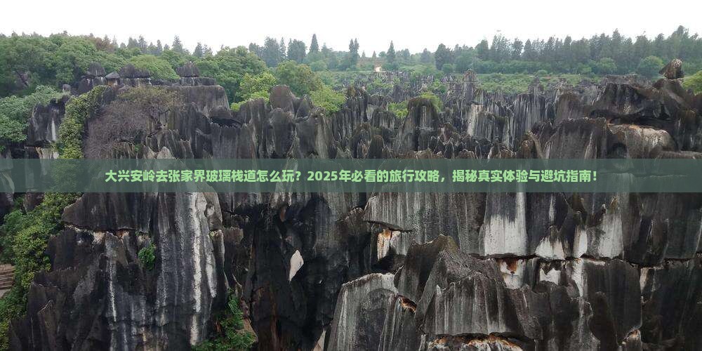 大兴安岭去张家界玻璃栈道旅行社