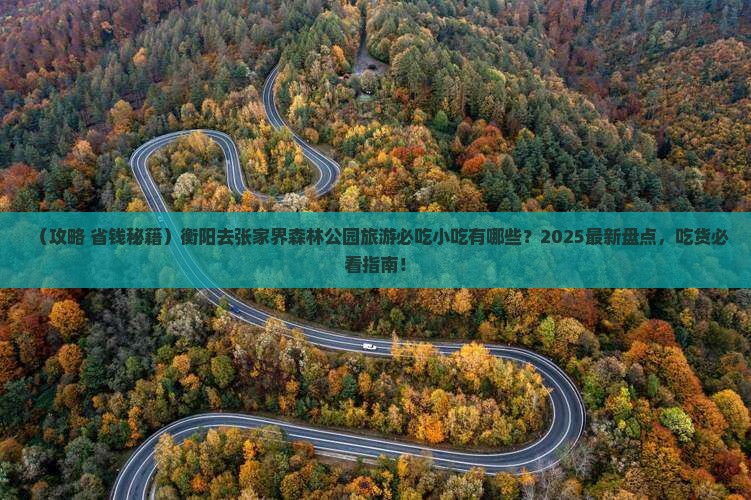 衡阳去张家界森林公园旅游小吃