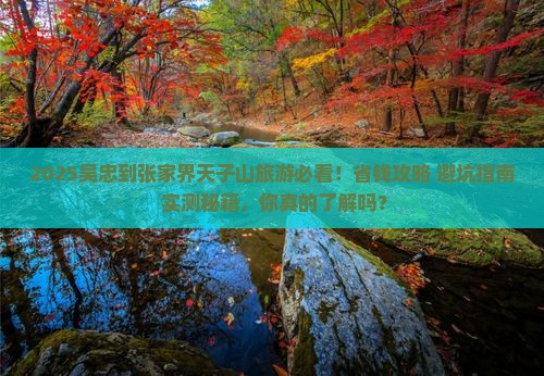 吴忠到张家界天子山旅行社