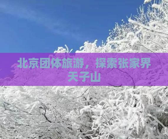 北京去张家界天子山团体旅游