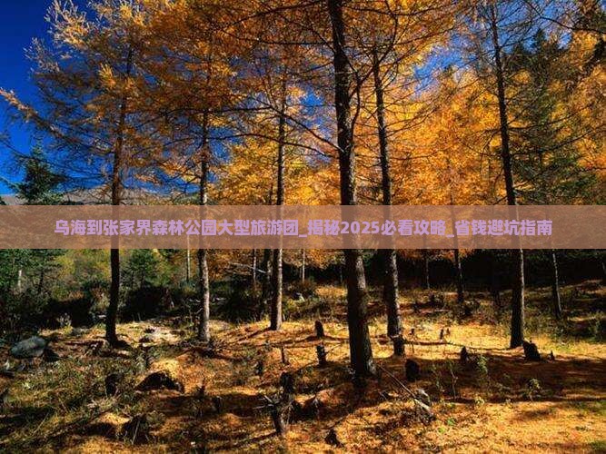 乌海到张家界森林公园大型旅游团