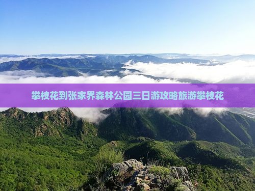 攀枝花到张家界森林公园三日游