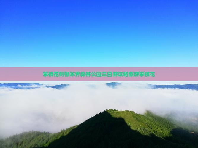 攀枝花到张家界森林公园三日游