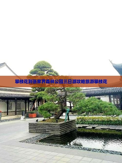 攀枝花到张家界森林公园三日游