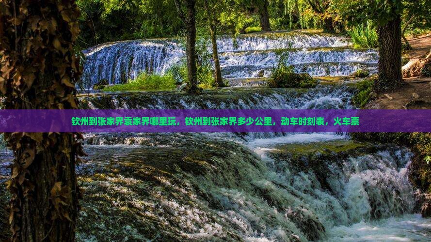 钦州到张家界袁家界哪里玩