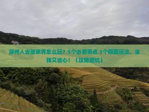 湖州去张家界旅行社