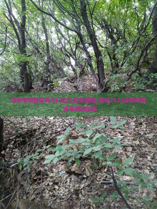 清明节到张家界天门山大型旅游团