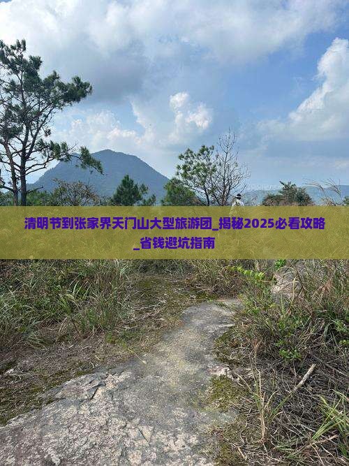 清明节到张家界天门山大型旅游团