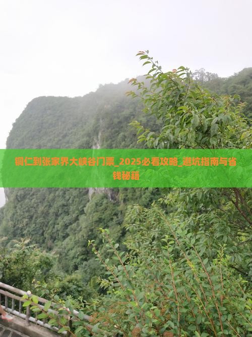铜仁到张家界大峡谷门票