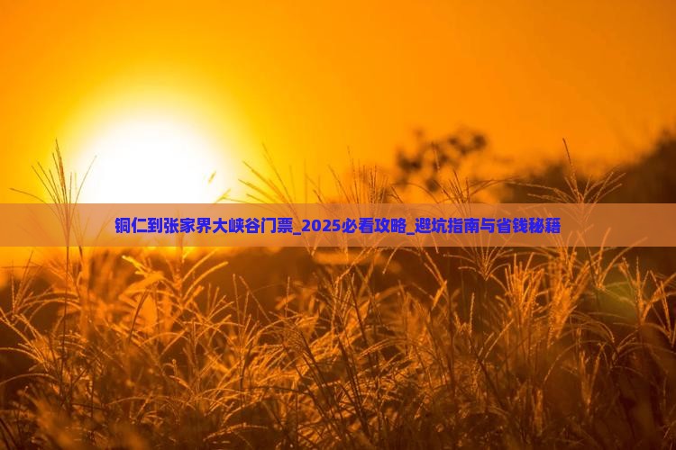 铜仁到张家界大峡谷门票