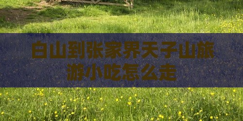 白山到张家界天子山旅游小吃