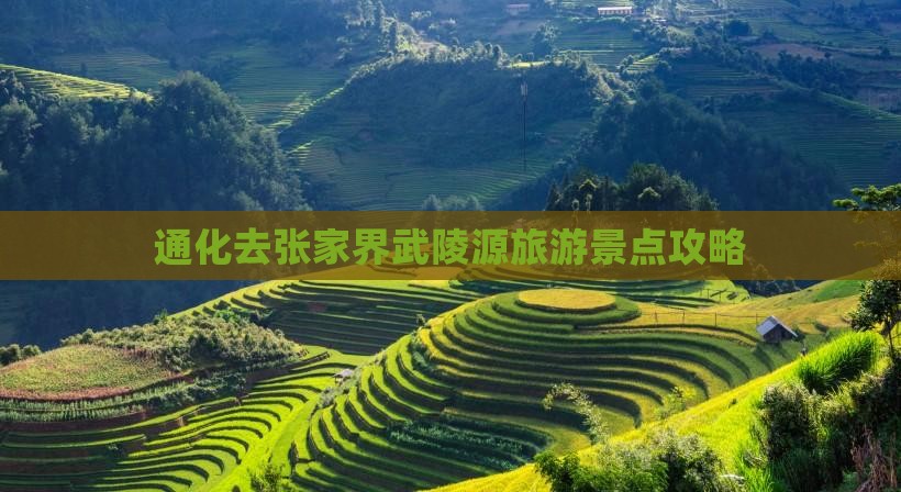 通化去张家界武陵源旅游
