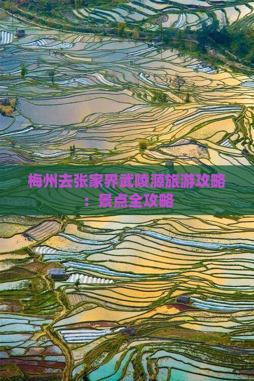 梅州去张家界武陵源旅游